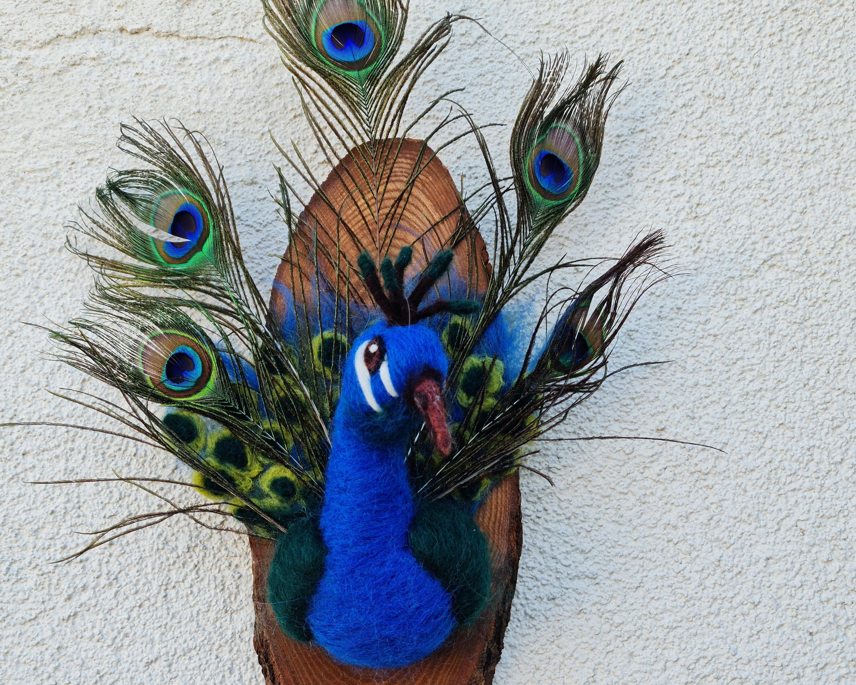 Women's Hand Felted Peacock Design Scarf, Merino Wool & Chiffon