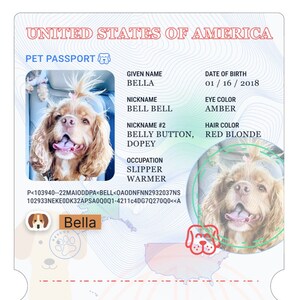 Puppy passport best sale