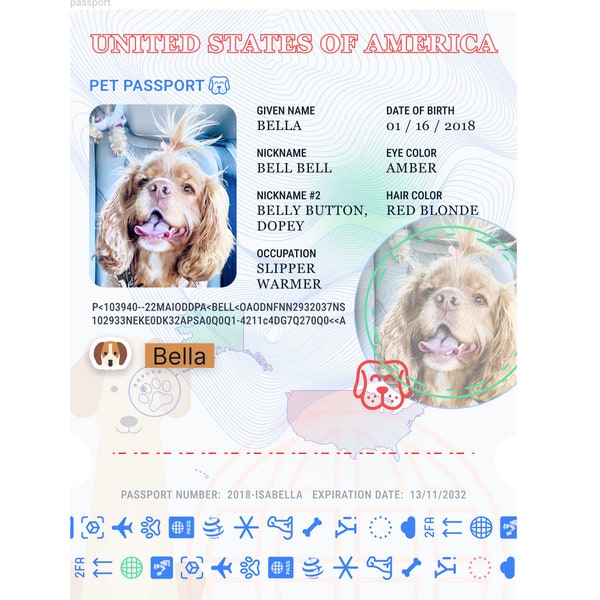 Custom Pet Passport Digital Copy Digital File