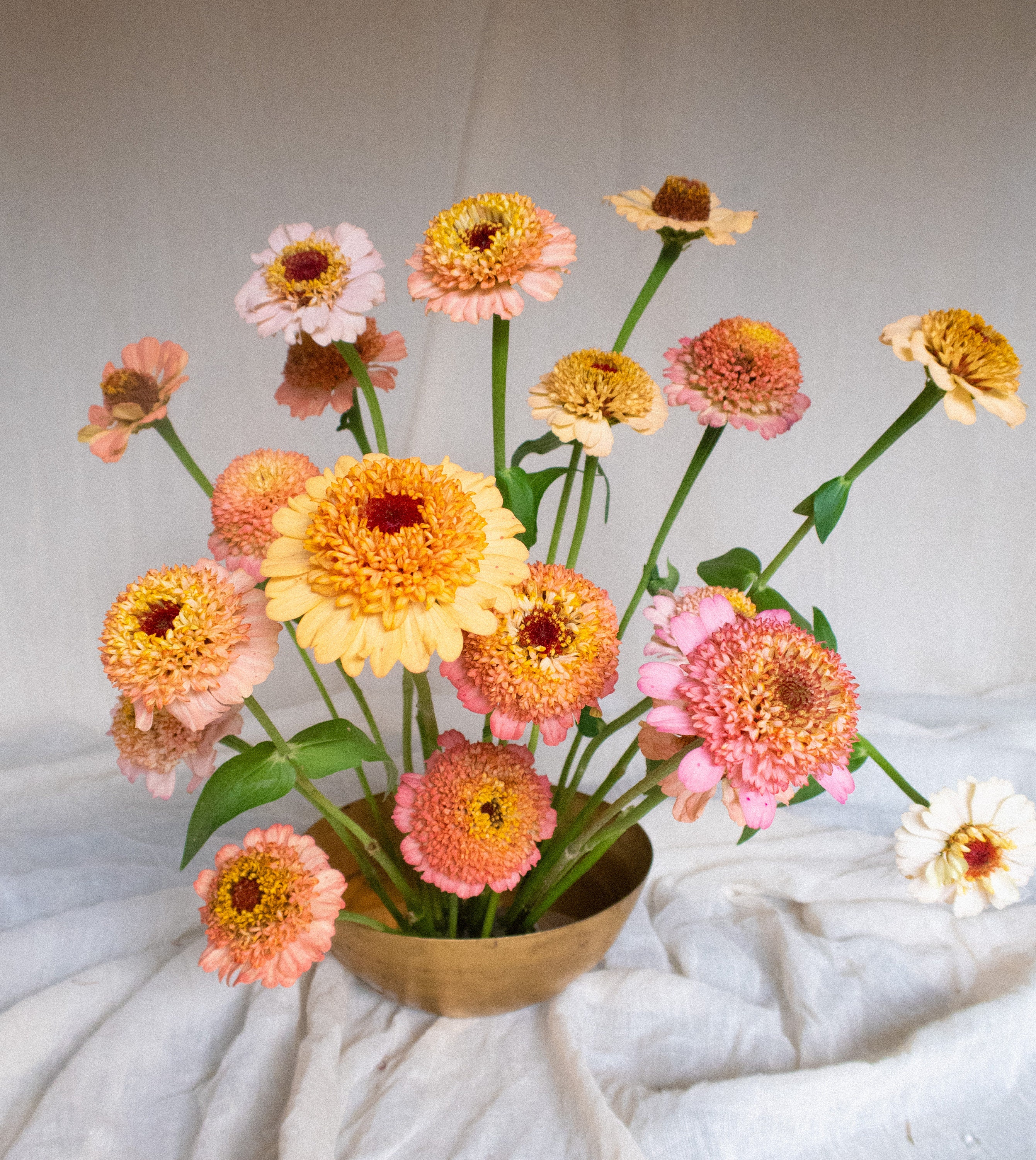 花を被写体にしたリナ・シェイニウス最新写真集『Flowers