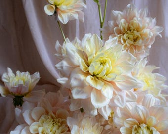 BREAK OUT Dahlia Tuber | Ekologiskt odlad i USA