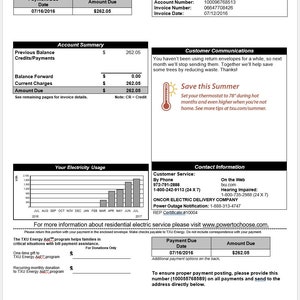 Customizable/Editable TXU Energy Bill WORD DOC