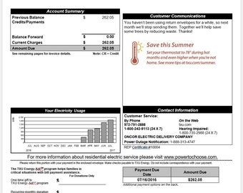 Customizable/Editable TXU Energy Bill WORD DOC