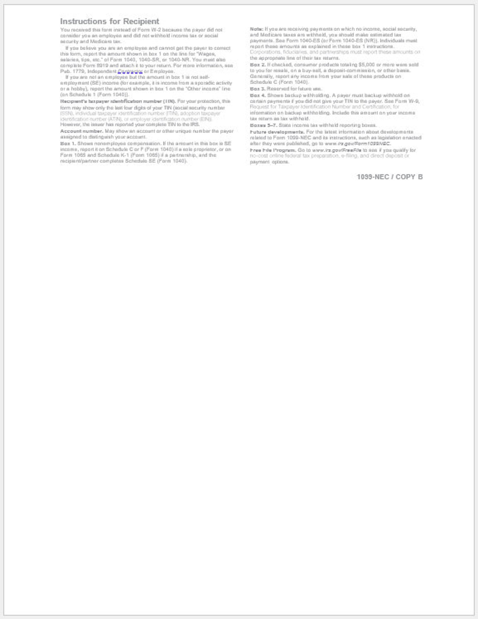 1099NEC Template Editable Proof of Word Doc Etsy