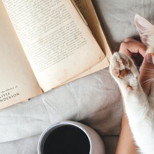 May include: A close-up of a book with a stamp that reads "from the library of OLIVIA ANDERSON". A cat is being petted by a hand, and a cup of coffee is in the background.