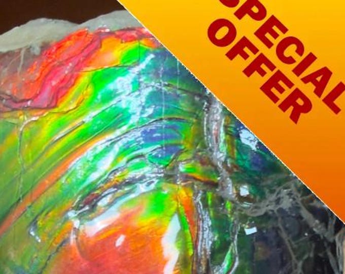 Featured listing image: SPECIAL OFFER  Iridescent Ammolite Specimen: Collector's Specimen