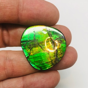 Ammolite Natural Double Side Free Form Gemstone, Ammolite, Ammolite stone, Ammolite gemstone, Jewelry Craft, Pendant. Feng Shui