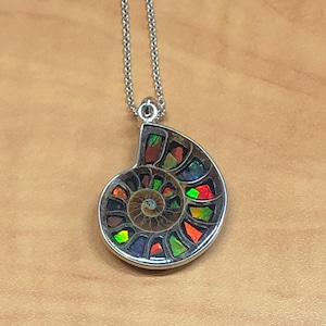 Puede incluir: Un collar con colgante de plata con un f&oacute;sil de amonita iridiscente. El f&oacute;sil muestra un patr&oacute;n en espiral con colores vibrantes, incluyendo rojo, verde y naranja. El colgante est&aacute; suspendido de una delicada cadena de plata.