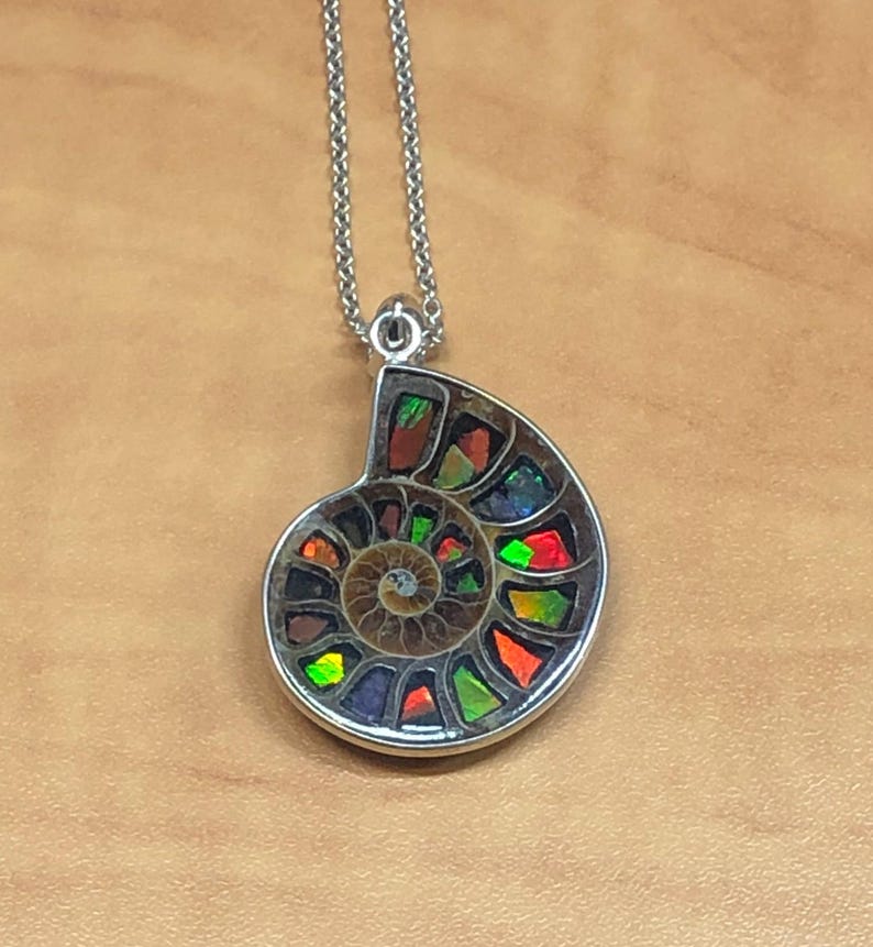 Puede incluir: Un collar con colgante de plata con un f&oacute;sil de amonita iridiscente. El f&oacute;sil muestra un patr&oacute;n en espiral con colores vibrantes, incluyendo rojo, verde y naranja. El colgante est&aacute; suspendido de una delicada cadena de plata.