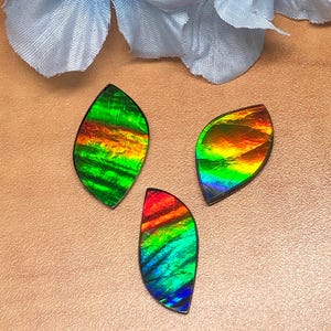 Parcel of 3 Stunning Ammolite Gemstone | Natural Gemstones | Calibrated Freeform Ammolite for Jewelry Making | Rare Ammolite Stones