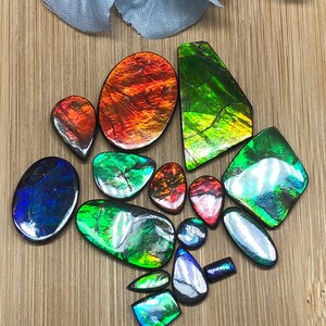 100 ct Natural Ammolite Gemstone Parcel: Freeform