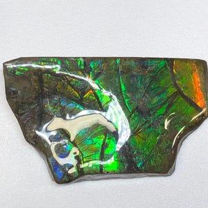 Ammolite Specimen, Ammolite, Ammolite stone, Ammolite gemstone, Jewelry Craft, Pendant. Feng Shui, Art, Collector, Rough Gemstone