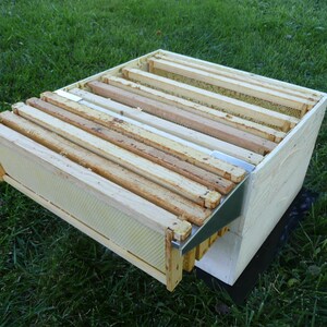 Op de afbeelding: Een houten bijenkorf met meerdere honingraatframes erin. De frames zijn van hout en hebben een lichtbruine kleur. De doos is wit en heeft een metalen hoekbeugel.