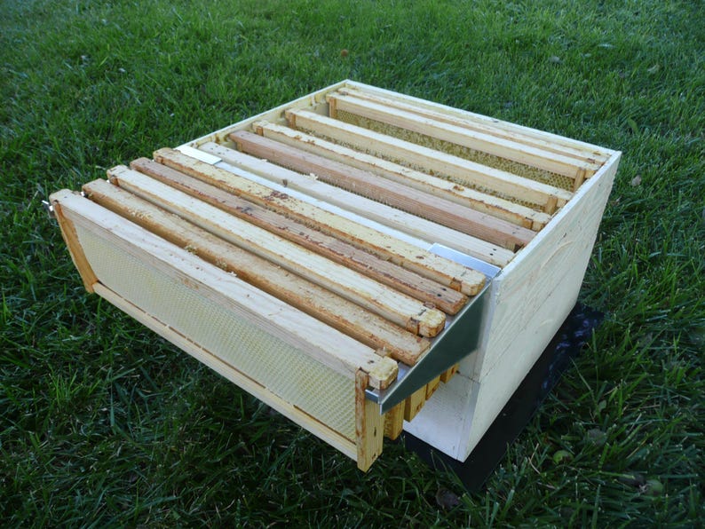 Op de afbeelding: Een houten bijenkorf met meerdere honingraatframes erin. De frames zijn van hout en hebben een lichtbruine kleur. De doos is wit en heeft een metalen hoekbeugel.