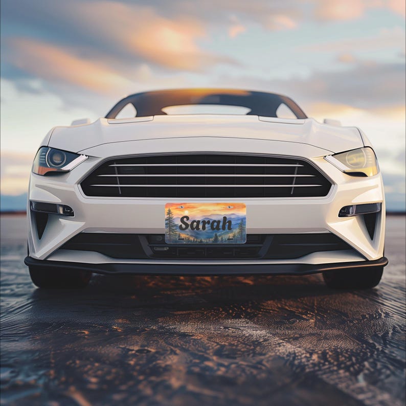 May include: A white car with a license plate that reads "Sarah." The license plate features a landscape scene with trees and a sunset. The car is parked on a wet surface, with a sunset in the background.