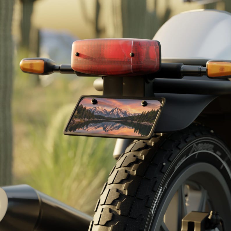 May include: Motorcycle rear with a license plate featuring a mountain and lake landscape scene. The plate is mounted below a red taillight and between two orange turn signals. The tire is black with a tread pattern.