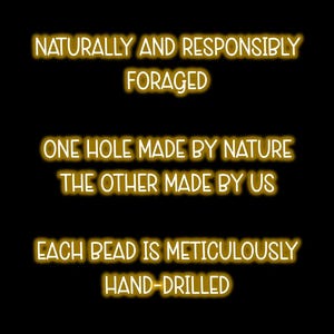 May include: A black graphic with gold-colored text that reads: NATURALLY AND RESPONSIBLY FORAGED, ONE HOLE MADE BY NATURE THE OTHER MADE BY US, EACH BEAD IS METICULOUSLY HAND-DRILLED. The text is presented in a clean, sans-serif font style.