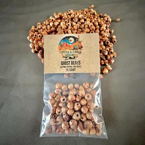 May include: A clear plastic bag containing 75 natural juniper cedar beads, with a tan paper label featuring the text Cactus & Timber, Ghost Beads, and Natural Juniper Cedar Beads, placed in front of a loose pile of identical brown wooden beads.