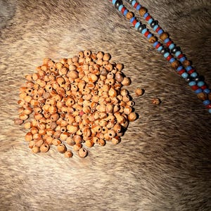 May include: A large collection of small, light brown, irregularly shaped natural seeds with central holes, accompanied by two long strands of alternating blue, red, and metallic silver beads arranged in a repeating pattern.