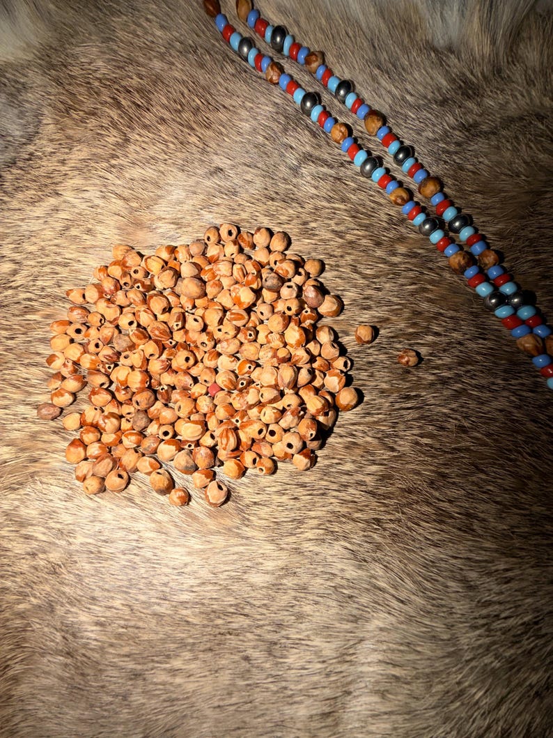 May include: A large collection of small, light brown, irregularly shaped natural seeds with central holes, accompanied by two long strands of alternating blue, red, and metallic silver beads arranged in a repeating pattern.