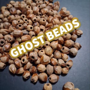 May include: A pile of light brown beads with a natural, organic appearance. Each bead has a hole through the center. The text "GHOST BEADS" is overlaid in a yellow font.