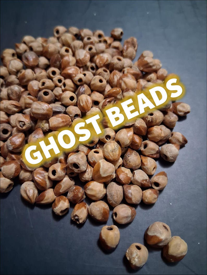 May include: A large collection of small, light brown, organic-looking beads with natural variations in shape and texture, each featuring a central hole. The text GHOST BEADS is printed in bold white letters across the center of the pile.