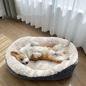 Dog Bed Orthopedic - Dog bed Large dogs - Dog bed small dogs- Orthopedic Dog Bed - Pet Bed - Cat Bed - Washable Dog Bed - Dog Bed furniture