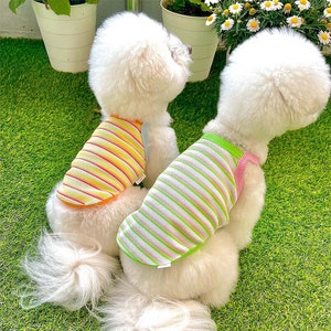 Multi Stripe Sleeveless Top | Dog Shirt Tops | Dog, Puppy Clothing | Dog T-shirt | Clothes for Dog, Puppy | Pet Clothing |Dog, Puppy Clothes