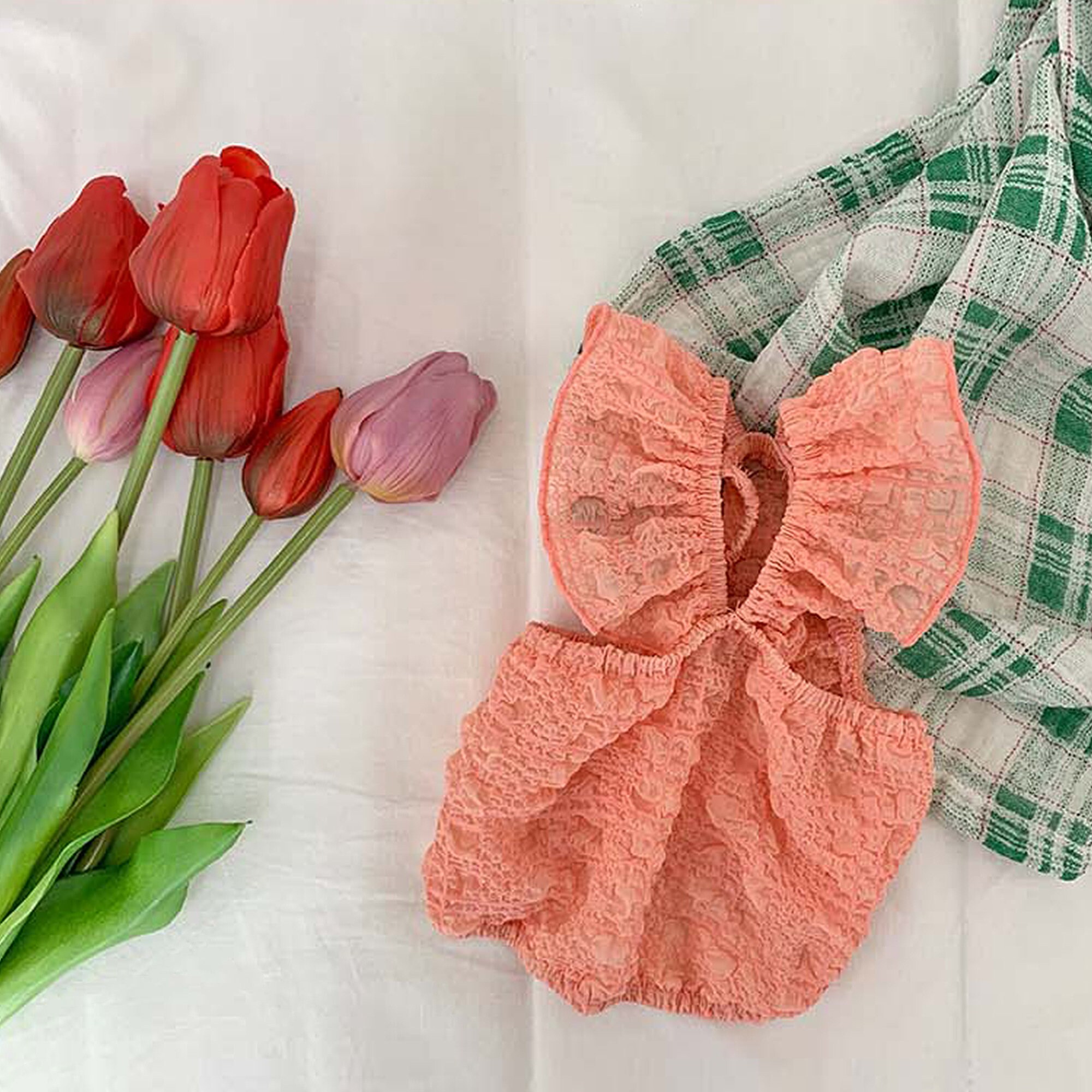 Bubble Crop Top Dog Summer Tshirt Dog Shirt Tops Dog Etsy