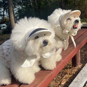 Dog Visor Etsy