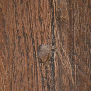 Op de afbeelding: Een close-up van een getextureerd bruin houten oppervlak met een opvallend verticaal nerfpatroon. Het hout vertoont natuurlijke kleurvariaties, variërend van lichtbruin tot diep donkerbruin, met diverse verhoogde knoesten en ruwe, verweerde ribbels.