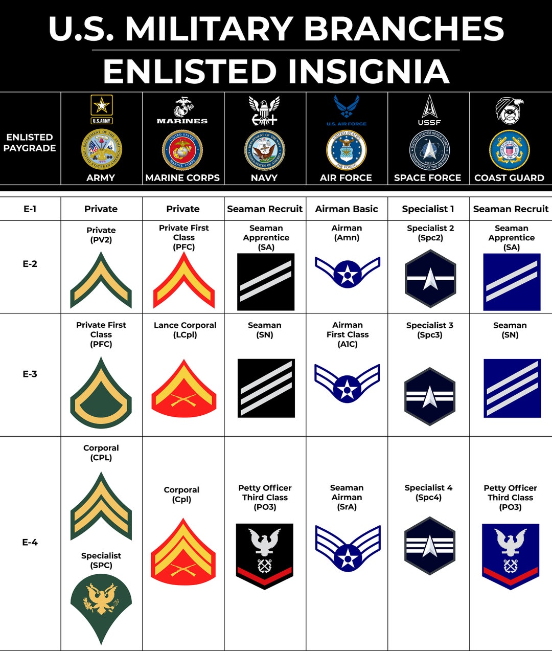 All Military Branches Bundle Military Logos, Seals, Insignias and Ranks ...