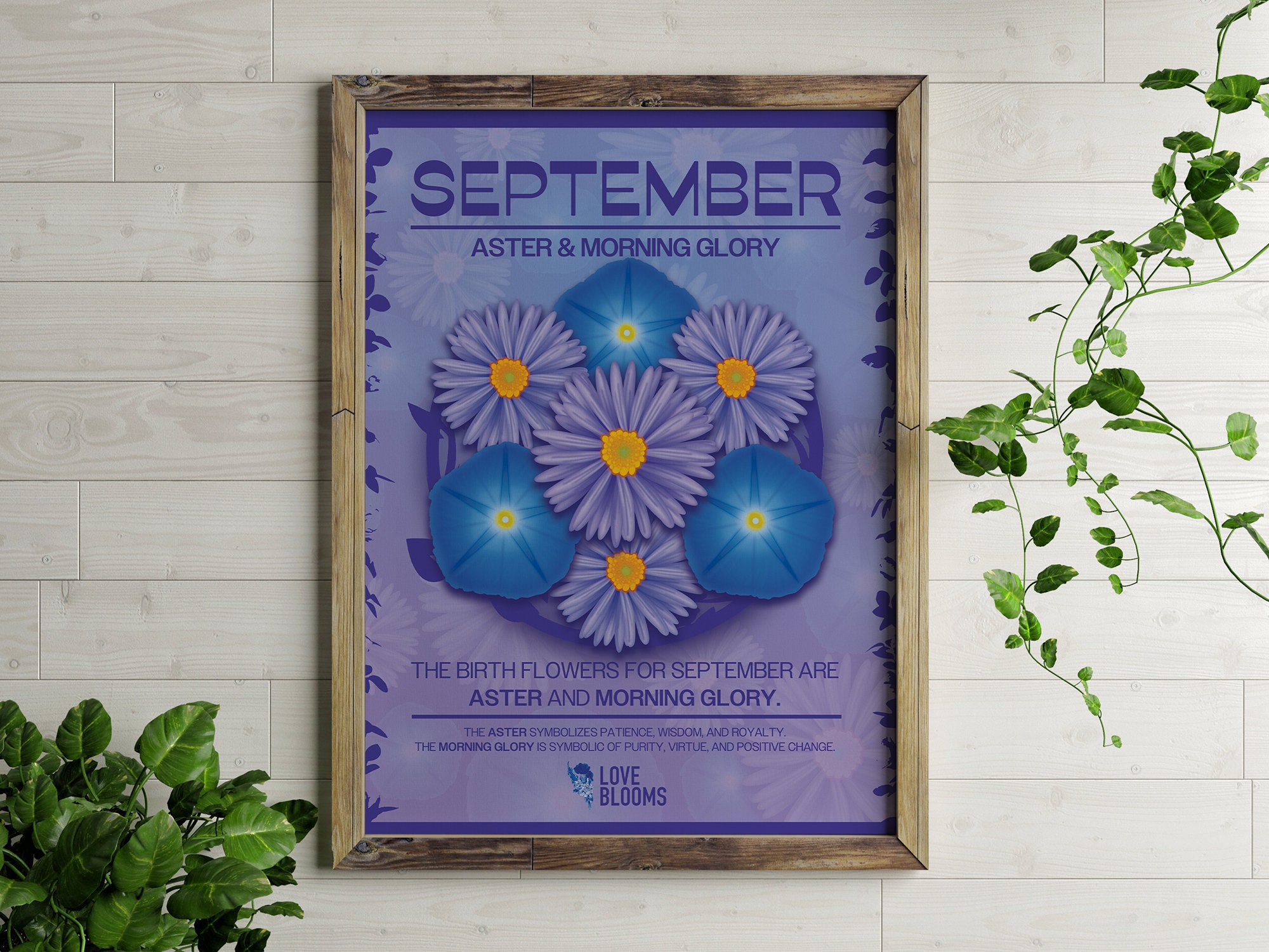 14+ September Birth Flower Drawing