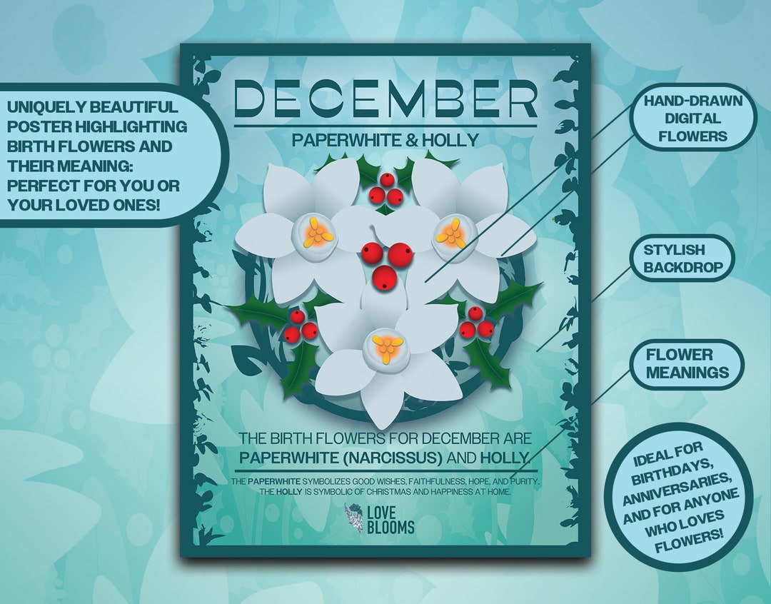 December Birth Flower Digital Print Paperwhite & Holly Birth Month