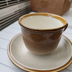 Mikasa Natures Song Deep Sea Japan Cup 3.5 inches and Saucer 6.5 inches MCM Blue C1060