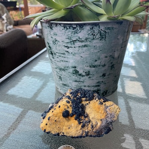 Blueberry Flourite Specimen