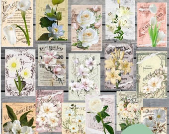 Shabby Chic Postcards, Printable Vintage Junk Journal Ephemera Pack, Flowers Postcard , Feminine Scrapbook Digital Paper, Floral