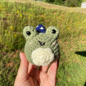 Crochet Mini Wizard Frog