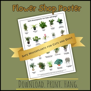 May include: A printable poster with a list of safe houseplants for cats and dogs. The poster features a gold ribbon with the text "SAFE HOUSEPLANTS FOR CATS AND DOGS" on it. The poster is white with black text and images of various plants.