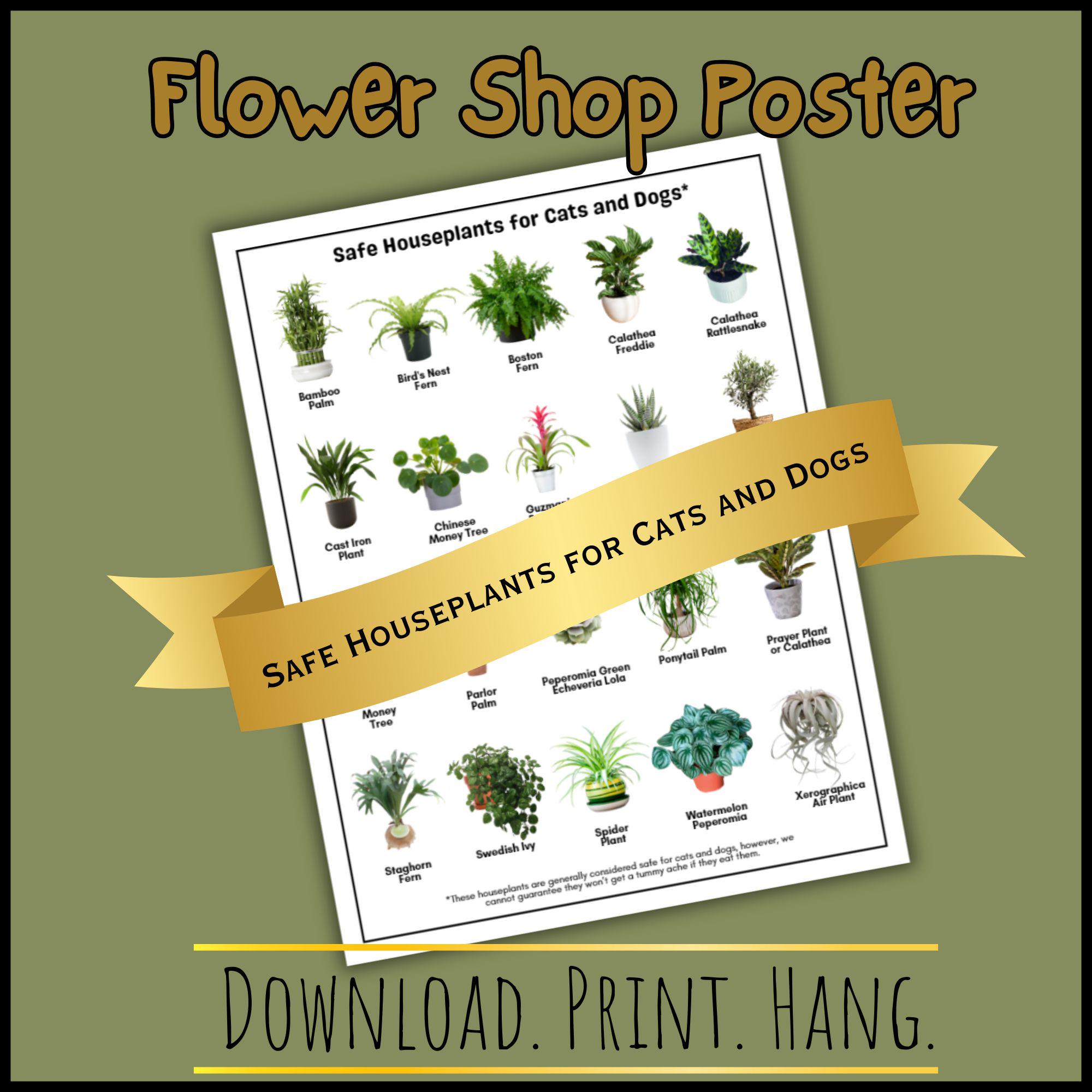 Flower Shop Poster | Safe Houseplants for Cats and Dogs | Safe Plants for  Pets | Floral Shop Poster | Instant Download | Printable - Etsy