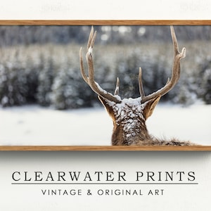 Samsung Frame TV Art, Winter ELK Snow, Buc, Antlers, Winter, Christmas, Instant Download, Digital Download, Digital Print, TV-51