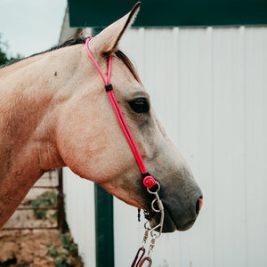 Rope Headstall image 4