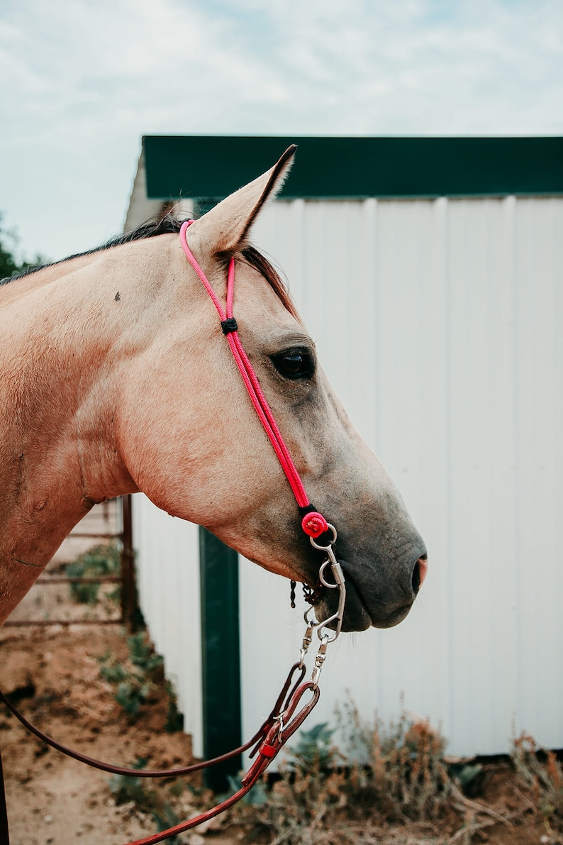 Rope Headstall image 4