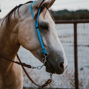 Rope Headstall image 5