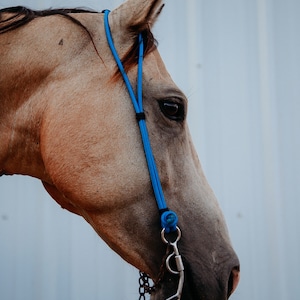 Rope Headstall image 7