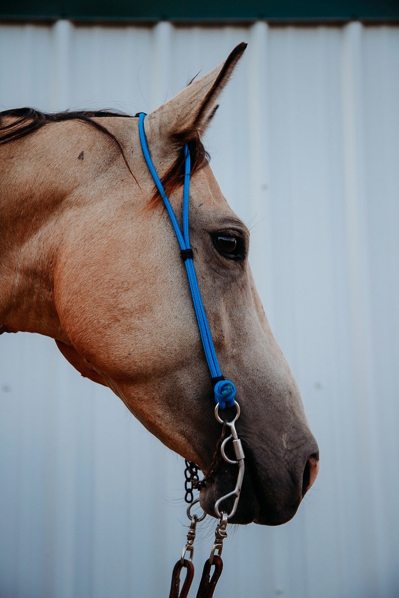 Rope Headstall image 7