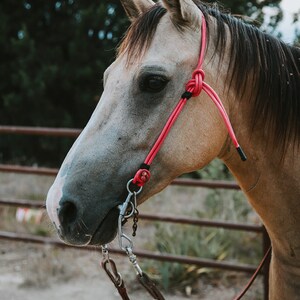 Rope Headstall image 3