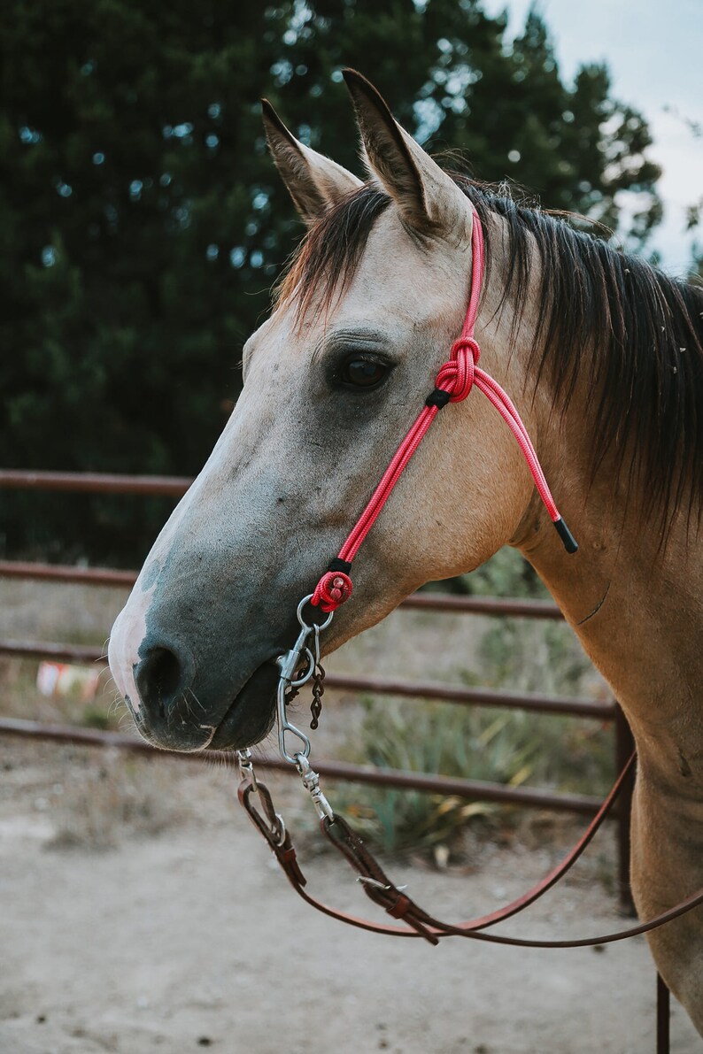 Rope Headstall image 3