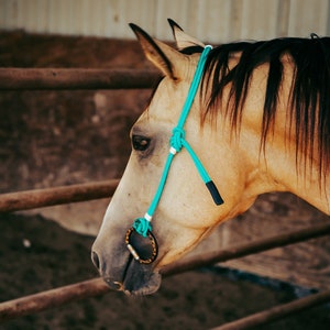Rope Headstall image 2