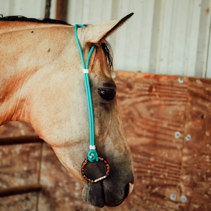 Rope Headstall image 1